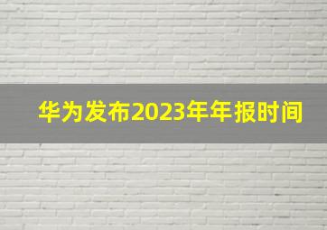 华为发布2023年年报时间