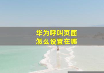 华为呼叫页面怎么设置在哪