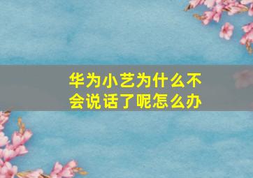 华为小艺为什么不会说话了呢怎么办