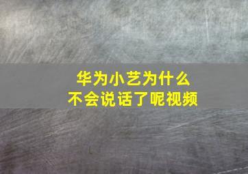 华为小艺为什么不会说话了呢视频