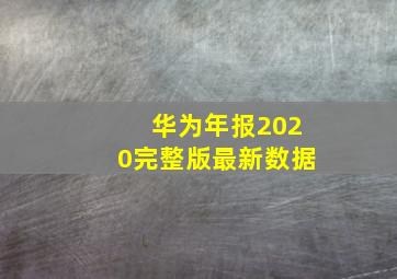 华为年报2020完整版最新数据