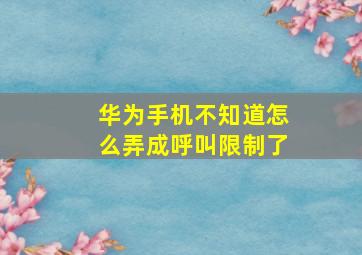 华为手机不知道怎么弄成呼叫限制了