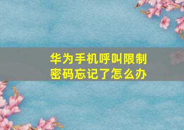 华为手机呼叫限制密码忘记了怎么办