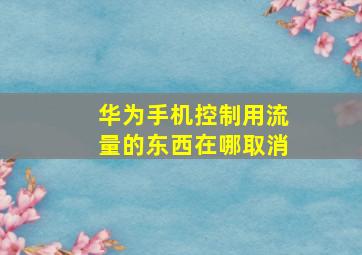 华为手机控制用流量的东西在哪取消