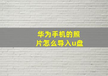 华为手机的照片怎么导入u盘