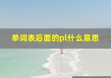 单词表后面的pl什么意思