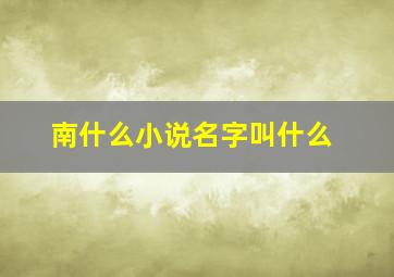 南什么小说名字叫什么