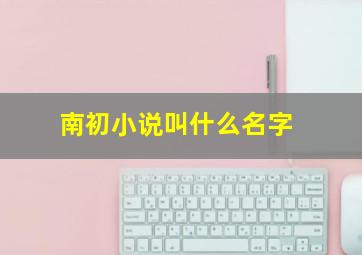 南初小说叫什么名字