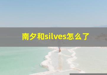 南夕和silves怎么了