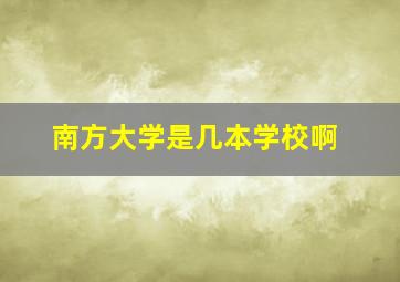 南方大学是几本学校啊