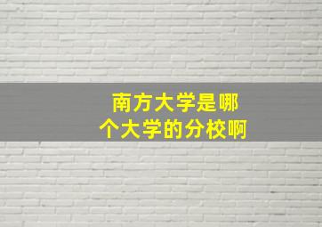 南方大学是哪个大学的分校啊