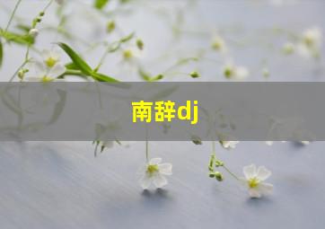 南辞dj