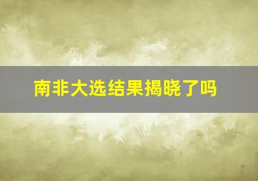 南非大选结果揭晓了吗