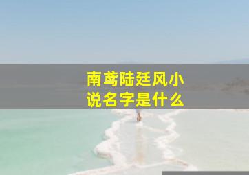 南鸢陆廷风小说名字是什么