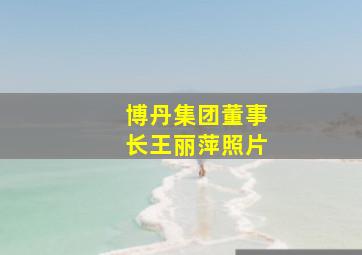 博丹集团董事长王丽萍照片