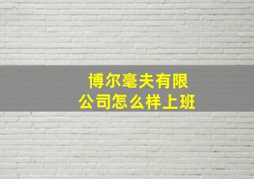 博尔毫夫有限公司怎么样上班