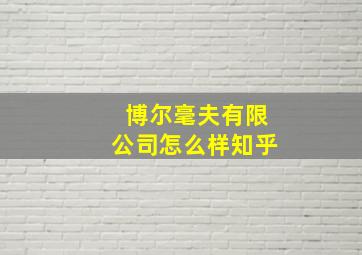 博尔毫夫有限公司怎么样知乎