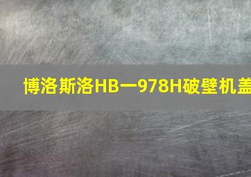 博洛斯洛HB一978H破壁机盖