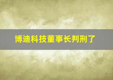 博迪科技董事长判刑了