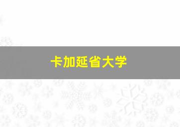 卡加延省大学