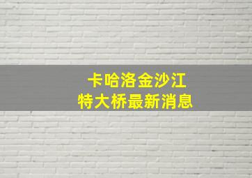 卡哈洛金沙江特大桥最新消息