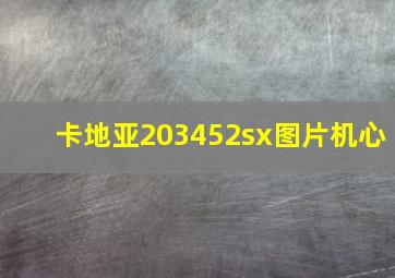 卡地亚203452sx图片机心