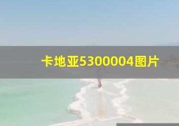 卡地亚5300004图片