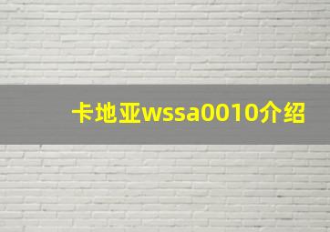 卡地亚wssa0010介绍