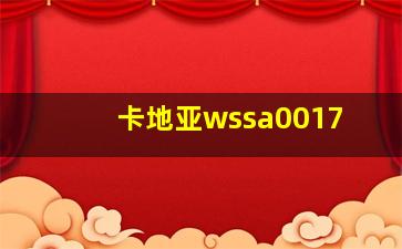 卡地亚wssa0017