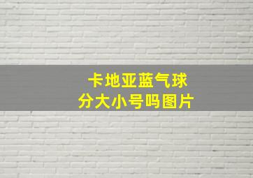 卡地亚蓝气球分大小号吗图片