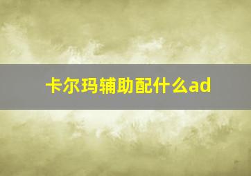 卡尔玛辅助配什么ad