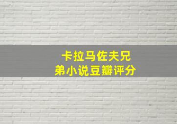 卡拉马佐夫兄弟小说豆瓣评分