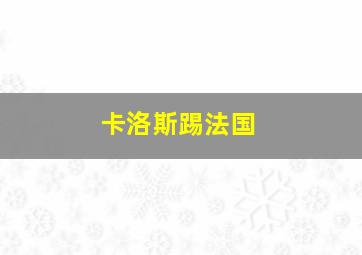 卡洛斯踢法国