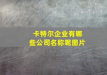 卡特尔企业有哪些公司名称呢图片