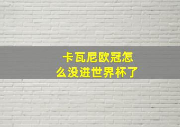 卡瓦尼欧冠怎么没进世界杯了