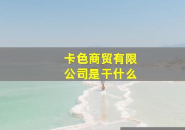 卡色商贸有限公司是干什么