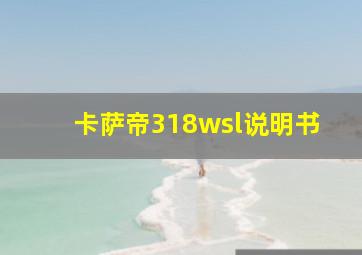 卡萨帝318wsl说明书