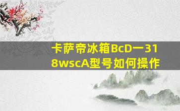 卡萨帝冰箱BcD一318wscA型号如何操作