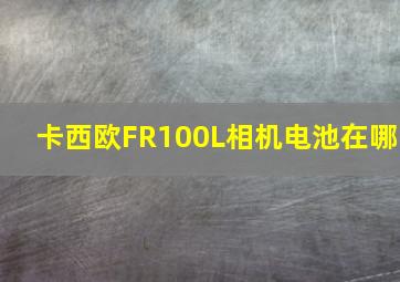 卡西欧FR100L相机电池在哪