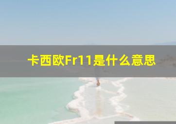 卡西欧Fr11是什么意思