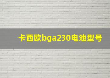 卡西欧bga230电池型号