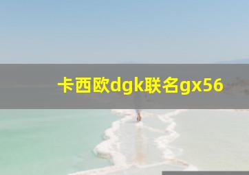 卡西欧dgk联名gx56