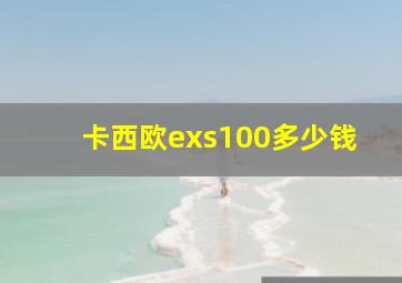 卡西欧exs100多少钱