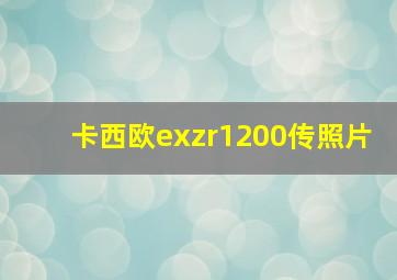 卡西欧exzr1200传照片