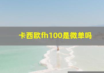 卡西欧fh100是微单吗