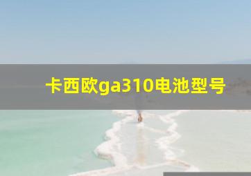 卡西欧ga310电池型号