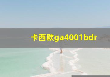 卡西欧ga4001bdr