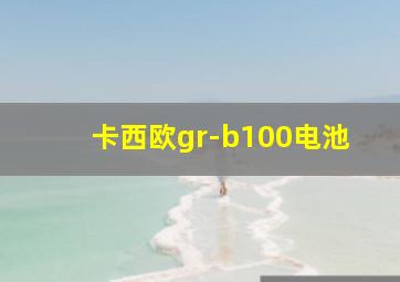 卡西欧gr-b100电池