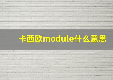 卡西欧module什么意思