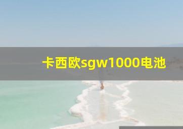 卡西欧sgw1000电池